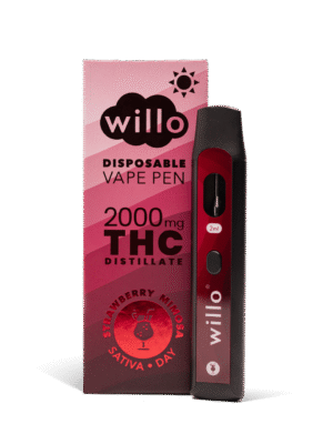 Strawberry 2000mg THC Vape Pen