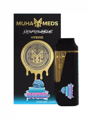 Slushie 2000mg THC Vape Pen